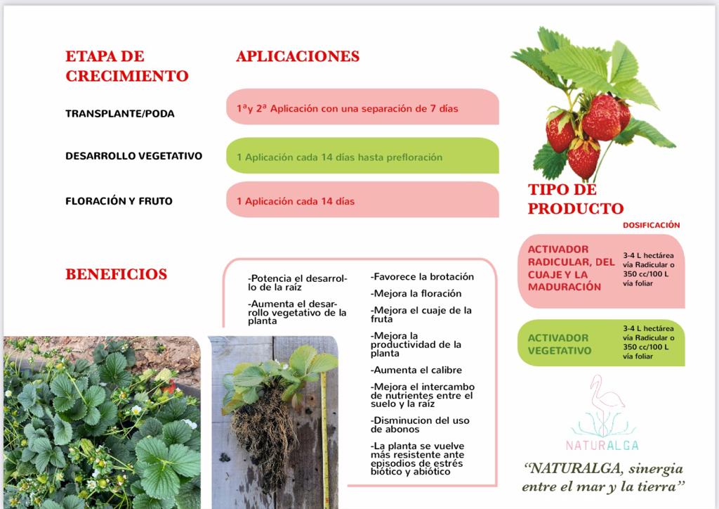 ACTIVADOR BIOLOGICO PARA PLANTA