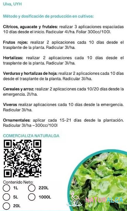 Activador Radicular, del Cuaje y la Maduración